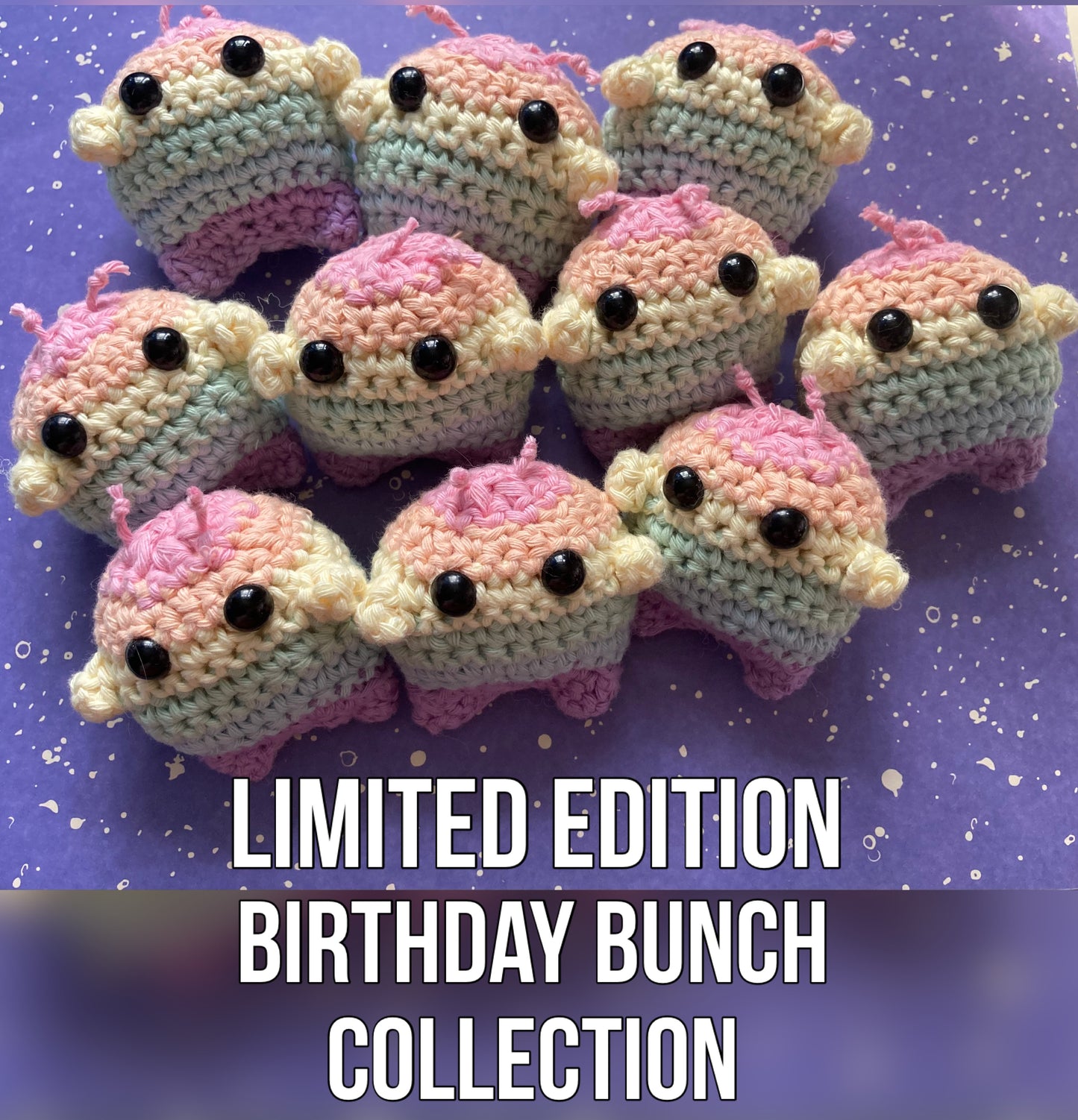 Collection 01 - The Birthday Bunch