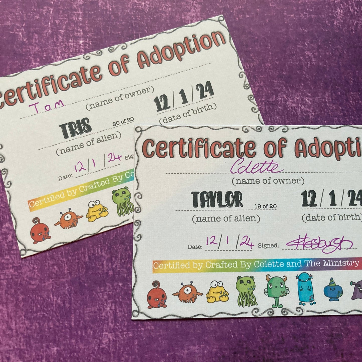 Collection 03 - Delightful Duos