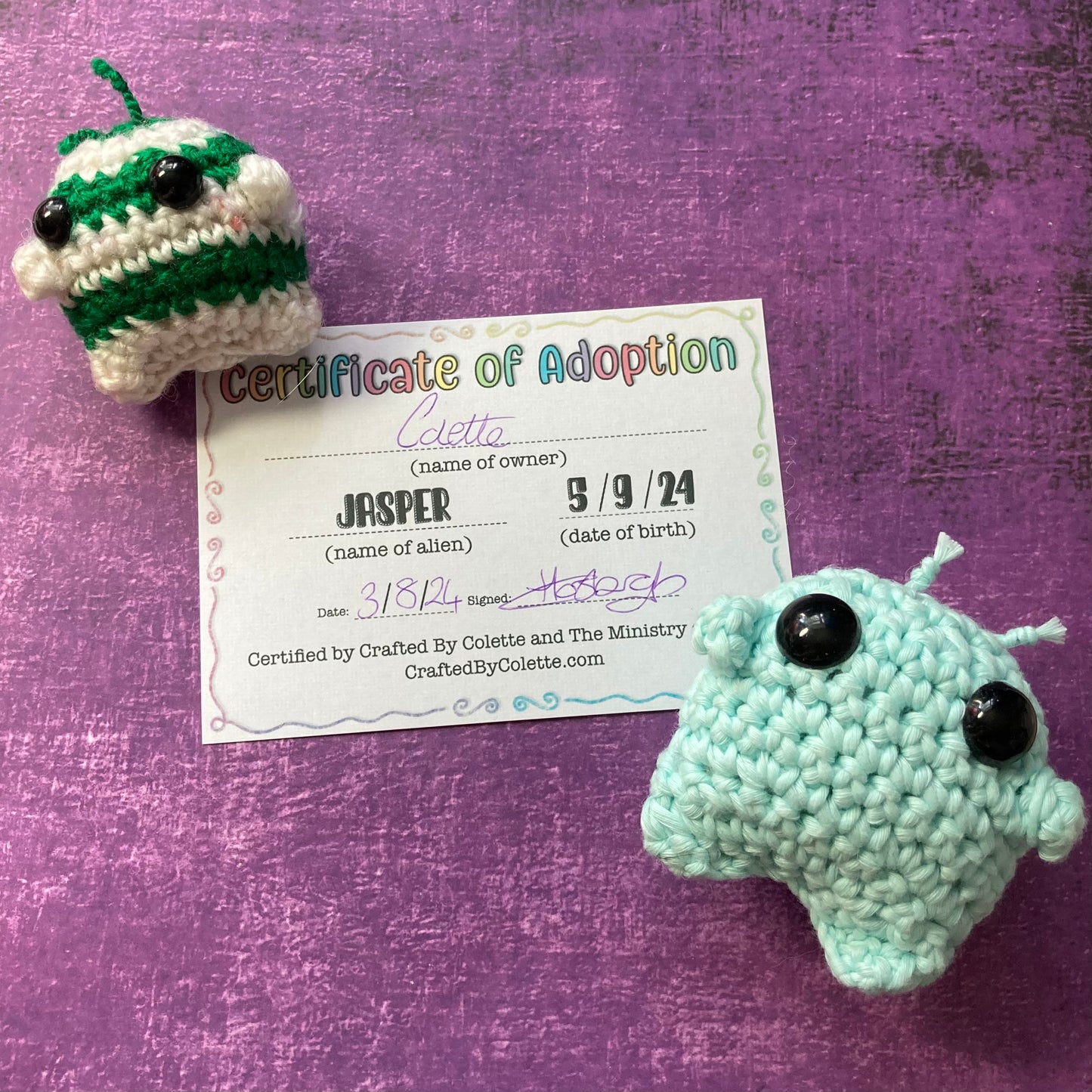 Adoption Certificate Add On