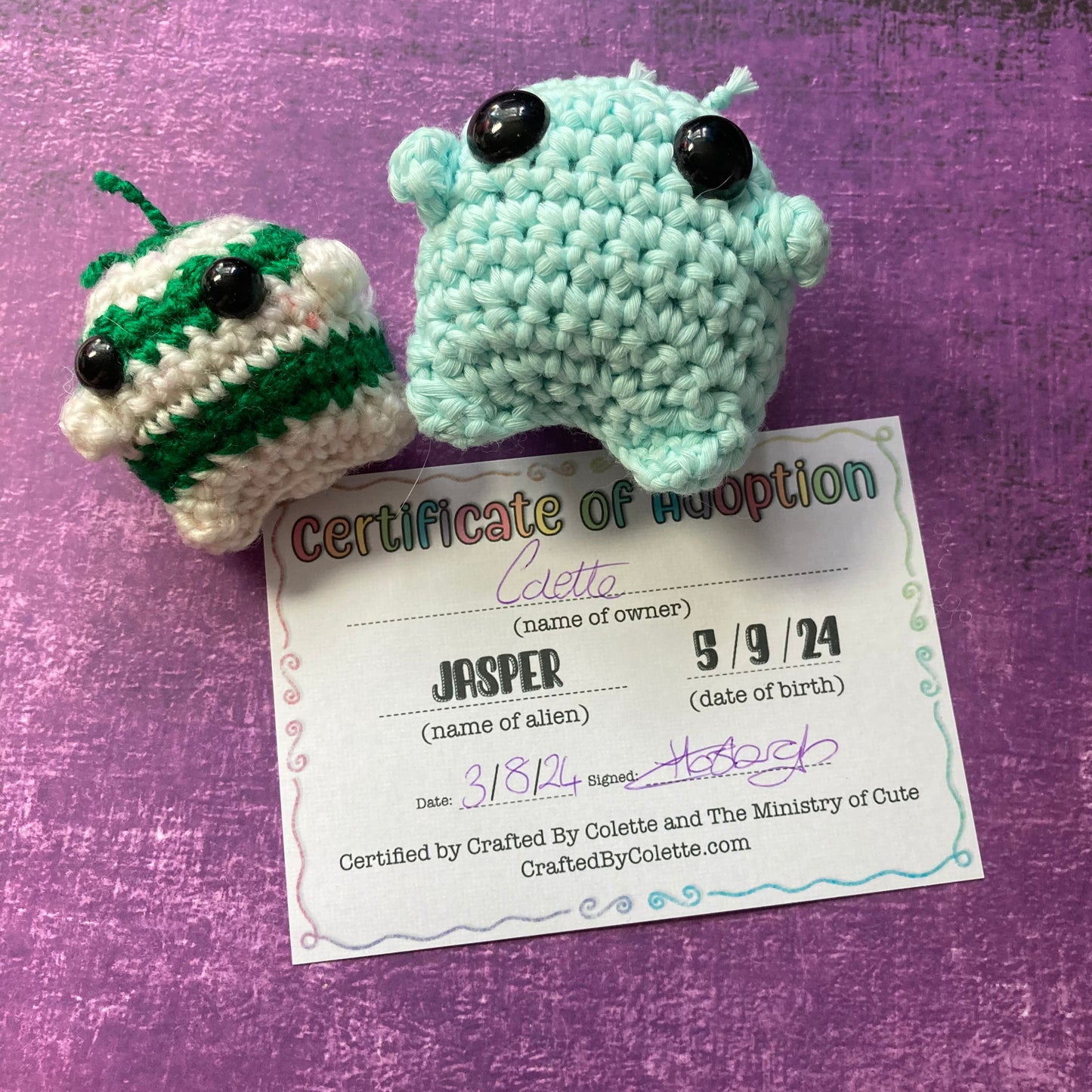 Adoption Certificate Add On