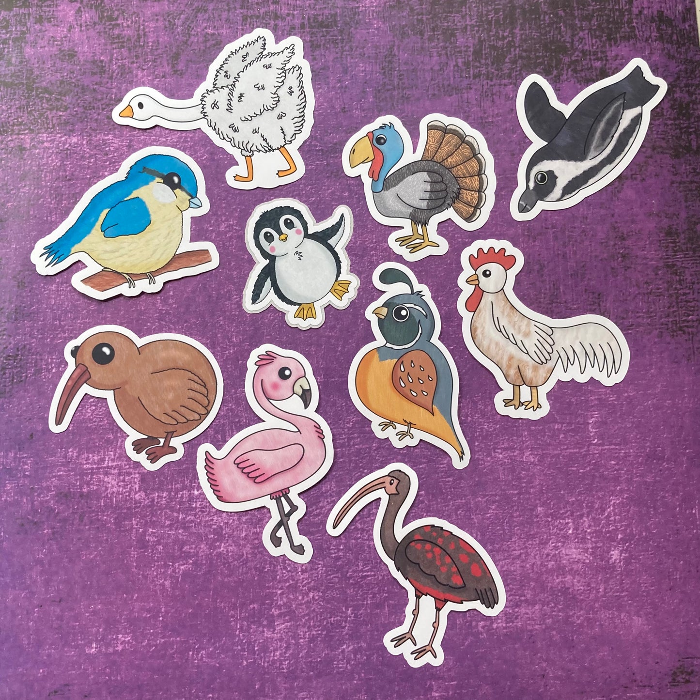 Birds Stickers