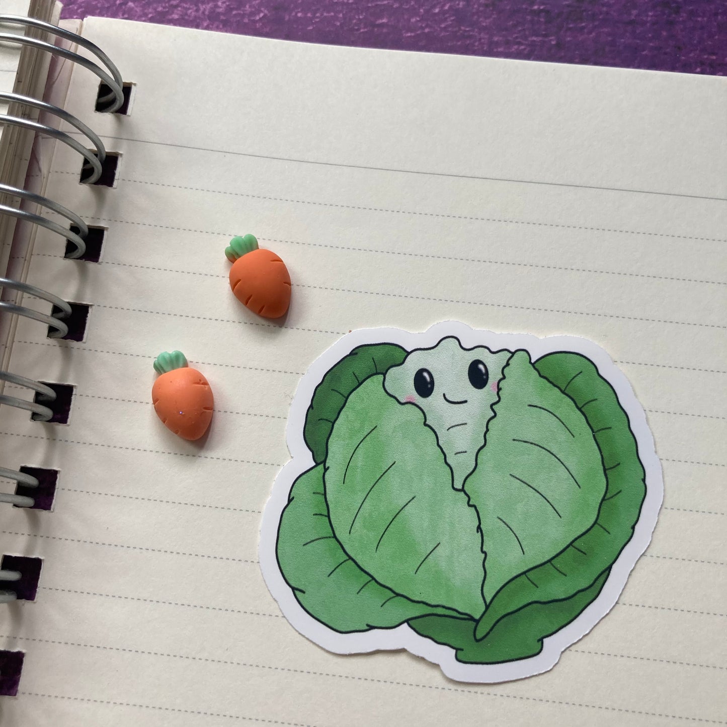 Vegetable Stickers