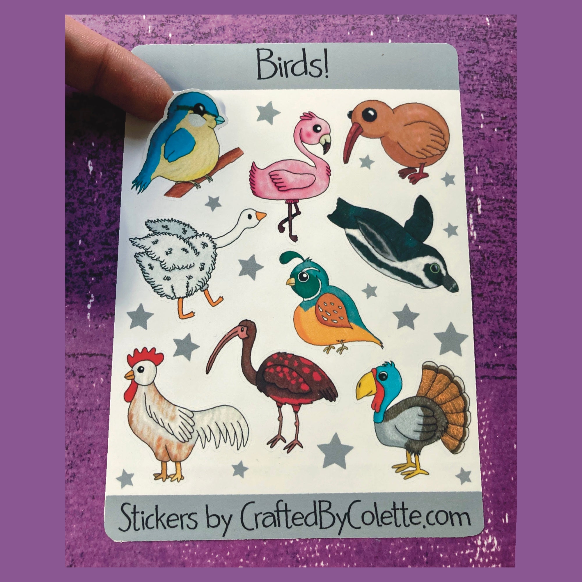 Birds Sticker Sheet – Crafted By Colette